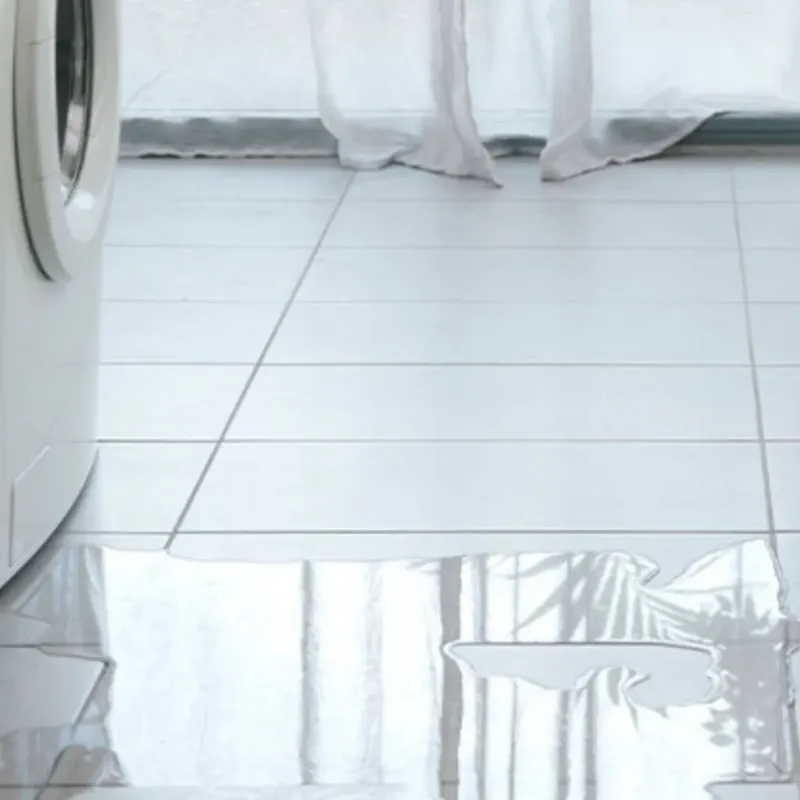 Appliance Leak Cleanup in Fairview, NJ