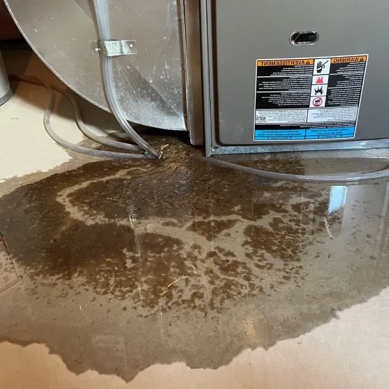Pipe Burst and Leak Restoration in Fairview, NJ