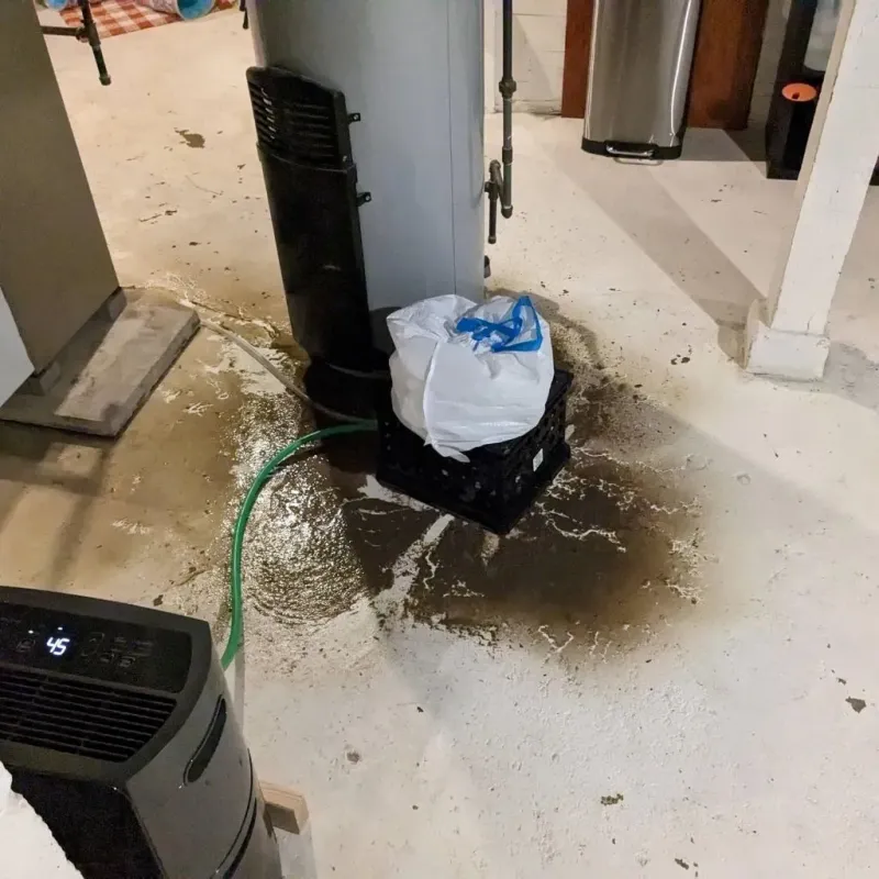 Sewage Backup Cleanup Service in Fairview, NJ